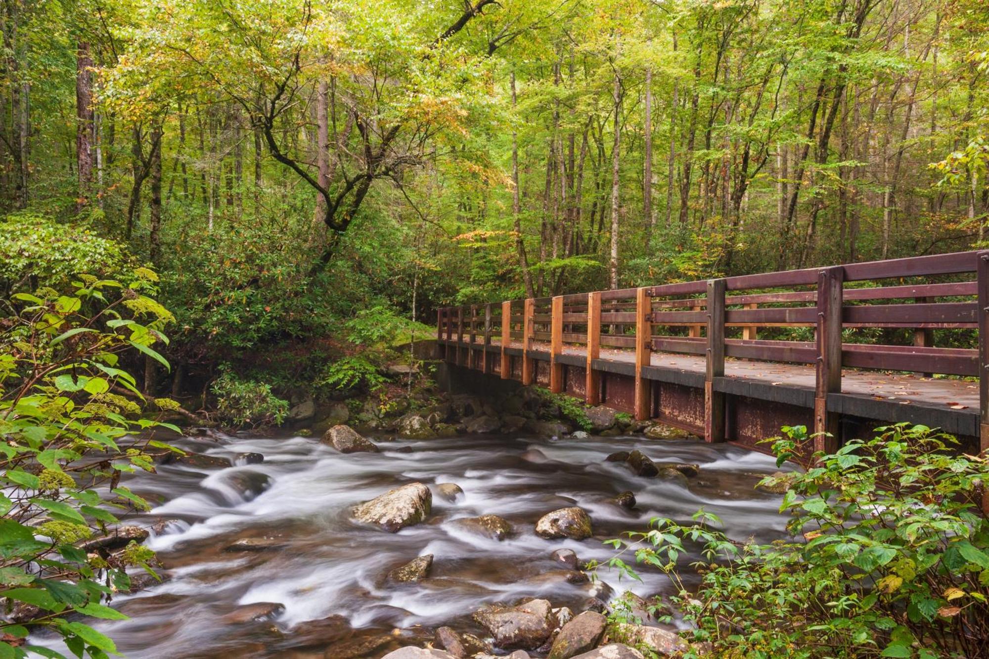 Rock Of Ages, Hot Tub, Game Room, Wifi, 1089 Free Tickets Each Paid Day, Dollywood And More Pigeon Forge Esterno foto